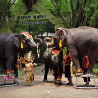 Safari World, Bangkok