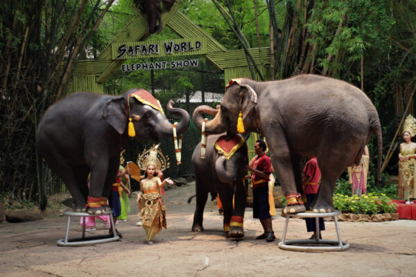 Safari World, Bangkok